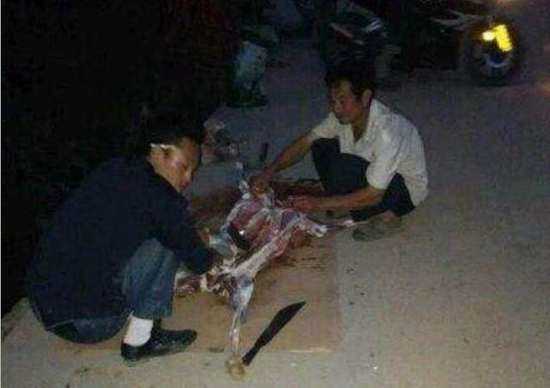 小伙猎到一个小动物，享用美味后却懵了669 / 作者:UFO外星人爱好者 / 帖子ID:59083
