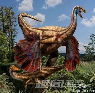 恐龙新发现：用摇尾的方式求爱992 / 作者:UFO来啦 / 帖子ID:63799
