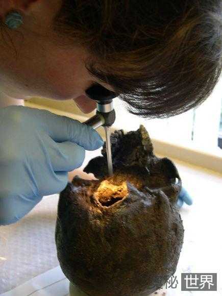 英格兰发现2500年前保存完好的大脑886 / 作者:UFO外星人爱好者 / 帖子ID:60127