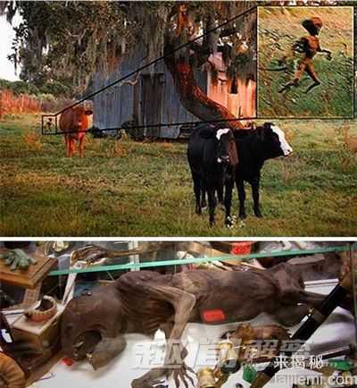 那些最奇葩的章鱼人 你见过了吗？275 / 作者:UFO来啦 / 帖子ID:65937