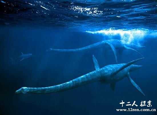 蛇颈龙：侏罗纪的海洋霸主，身长5米，尼斯湖水怪真身？825 / 作者:UFO外星人爱好者 / 帖子ID:60165