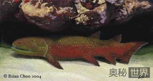考古界最具意义的8项骨骼化石发现408 / 作者:UFO来啦 / 帖子ID:65569