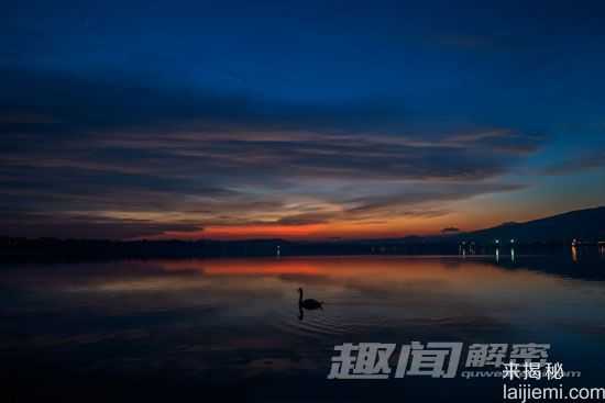 尼斯湖怪之谜 真相如何被发现？206 / 作者:UFO来啦 / 帖子ID:63607