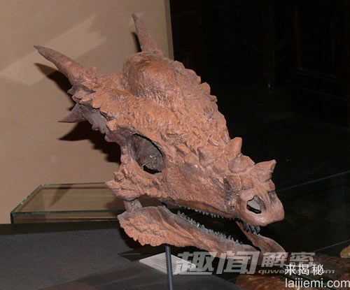 揭秘史前十种最奇特的恐龙(图)584 / 作者:UFO来啦 / 帖子ID:63968