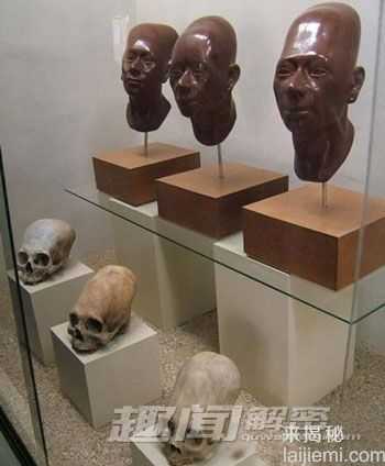 人类未解之谜：细长头骨人为何离奇消失128 / 作者:UFO外星人爱好者 / 帖子ID:60564