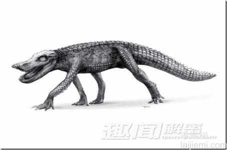 7大怪异动物祖先：凶残的恐龙切割机766 / 作者:UFO来啦 / 帖子ID:61247