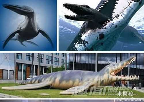 自然界已灭绝的远古怪异动物747 / 作者:UFO来啦 / 帖子ID:65600