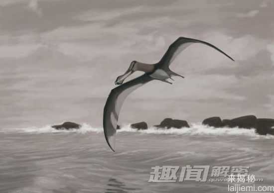 十大神秘生物：康加玛托吃腐烂人肉821 / 作者:UFO来啦 / 帖子ID:62420