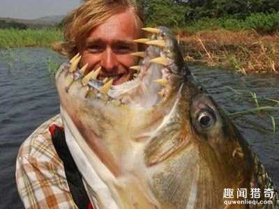 海底恐怖怪鱼大盘点：你见过几个？696 / 作者:UFO外星人爱好者 / 帖子ID:58883