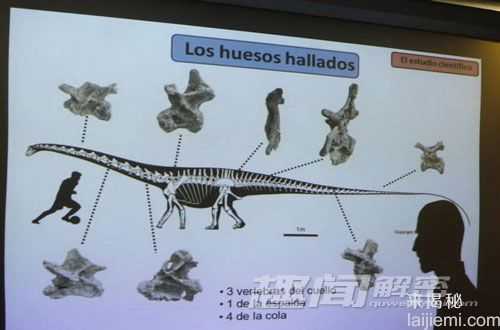 震撼！古生物学家又命名十种新恐龙715 / 作者:UFO来啦 / 帖子ID:66131