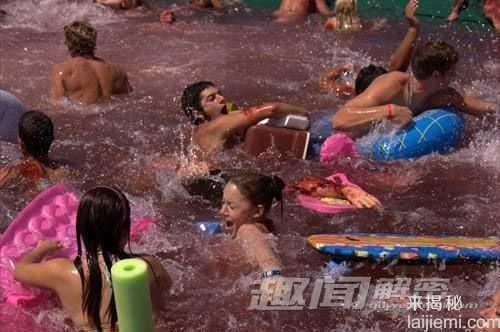 巴西“食人鱼”频攻击人类602 / 作者:UFO来啦 / 帖子ID:63662