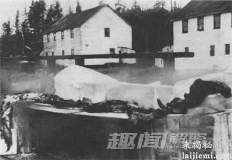 揭秘:世界上真实存在的水怪卡布罗龙637 / 作者:UFO爱好者 / 帖子ID:66602 揭秘:世界上真实存在的水怪卡布罗龙637 / 作者:UFO爱好者 / 帖子ID:66602