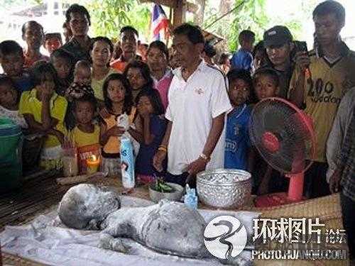 盘点震惊全球的真假外星人事件739 / 作者:UFO来啦 / 帖子ID:65200