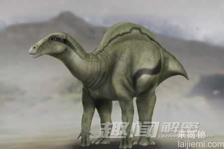 盘点：2015年发现的九大恐龙物种659 / 作者:UFO来啦 / 帖子ID:65201