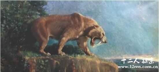 史前猫科动物异剑齿虎，长着獠牙的凶残猎手443 / 作者:UFO来啦 / 帖子ID:62786