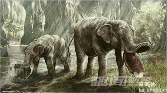 7大怪异动物祖先：凶残的恐龙切割机708 / 作者:UFO来啦 / 帖子ID:61247