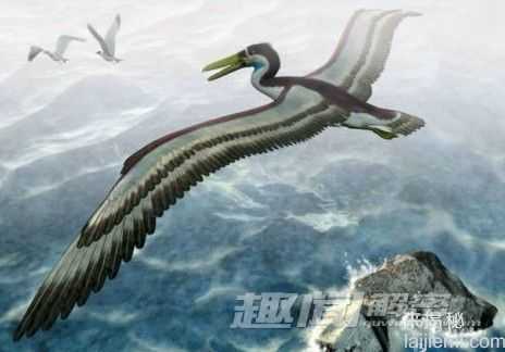 前所未闻！地球上25个奇异的史前生物_1416 / 作者:UFO来啦 / 帖子ID:62414