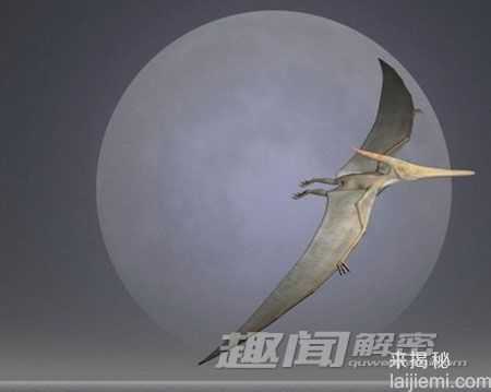 震撼！古生物学家又命名十种新恐龙406 / 作者:UFO来啦 / 帖子ID:66131