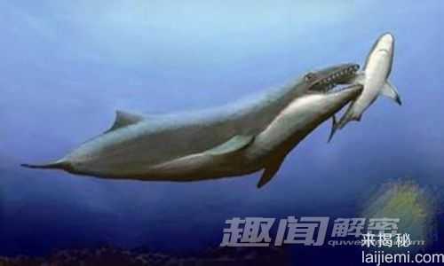 怪哉！动物性交配行为 竟源自4.3亿年前638 / 作者:UFO来啦 / 帖子ID:63778