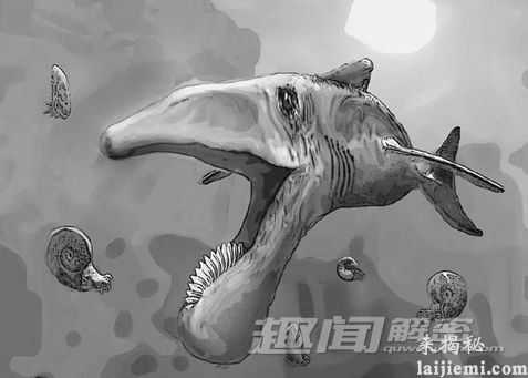 揭秘：远古时期地球上的八大巨型怪物62 / 作者:UFO爱好者 / 帖子ID:66604