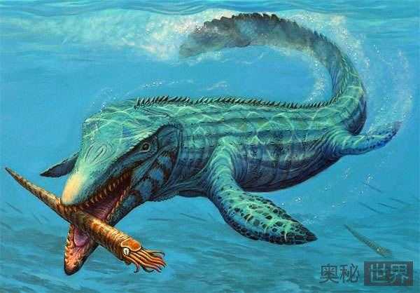 沧龙:远古首个淡水物种75 / 作者:UFO来啦 / 帖子ID:64627 沧龙:远古首个淡水物种75 / 作者:UFO来啦 / 帖子ID:64627