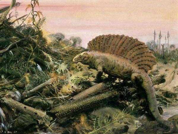 二叠纪生物大灭绝持续几十万年814 / 作者:UFO来啦 / 帖子ID:61975 二叠纪生物大灭绝持续几十万年814 / 作者:UFO来啦 / 帖子ID:61975