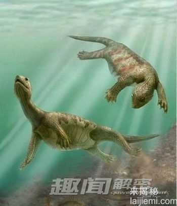 惊叹不已！动物七大最神奇的进化祖先239 / 作者:UFO外星人爱好者 / 帖子ID:60366