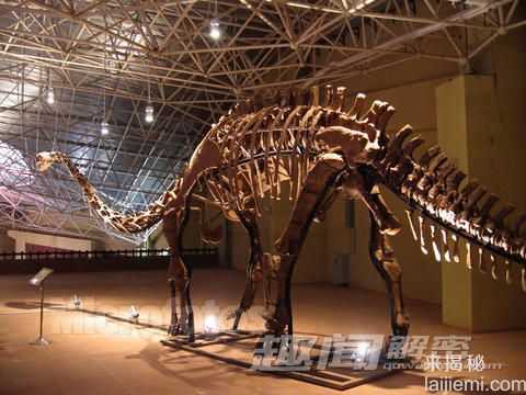 恐龙灭绝的真正原因：陨星碰撞684 / 作者:UFO来啦 / 帖子ID:63805