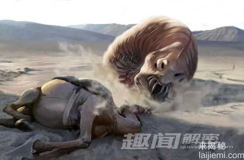 全球最恐怖的昆虫：蒙古沙漠死亡之虫156 / 作者:UFO来啦 / 帖子ID:62258