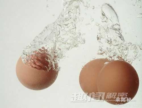 史上十大疯狂的神鸟 比凤凰更加奇异3 / 作者:UFO来啦 / 帖子ID:62733