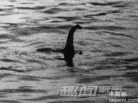 难解谜团：尼斯湖水怪竟会是恐龙？32 / 作者:UFO来啦 / 帖子ID:66078