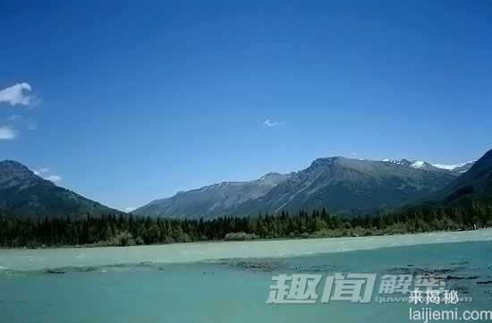 科学探秘 新疆喀纳斯“湖怪” 或为大红鱼702 / 作者:UFO来啦 / 帖子ID:65362