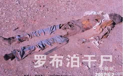 36年后彭加木失踪之谜揭晓震惊国人964 / 作者:UFO来啦 / 帖子ID:61232
