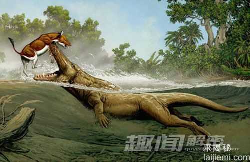 盘点比恐龙更怪异10种史前动物(组图)7 / 作者:UFO来啦 / 帖子ID:65160
