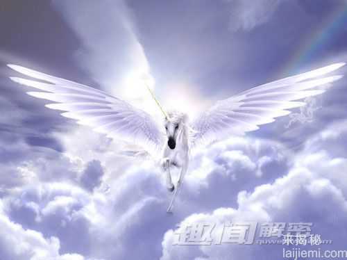 探寻传说中独角兽真实存在之谜866 / 作者:UFO来啦 / 帖子ID:63896