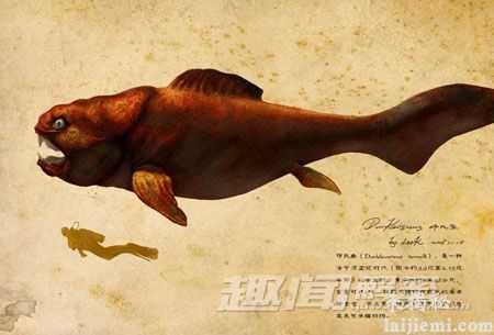 比恐龙还厉害！史前10大称霸海洋巨兽979 / 作者:UFO爱好者 / 帖子ID:66656