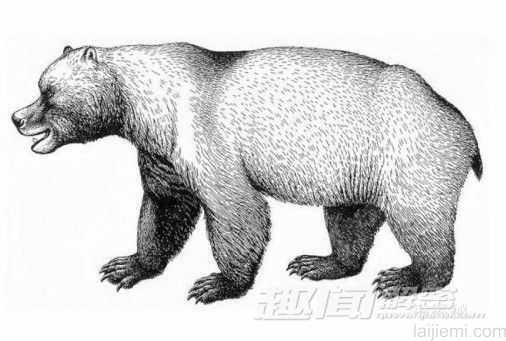 前所未闻！地球上25个奇异的史前生物_1925 / 作者:UFO来啦 / 帖子ID:62414