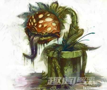 神秘食人传说:食人花真的存在吗?147 / 作者:UFO来啦 / 帖子ID:65312 神秘食人传说:食人花真的存在吗?147 / 作者:UFO来啦 / 帖子ID:65312