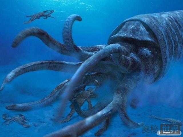 鲜为人知的十大远古超级生物535 / 作者:UFO来啦 / 帖子ID:66228