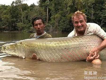 盘点：修炼成精被捕获的十大巨型怪物80 / 作者:UFO来啦 / 帖子ID:65215