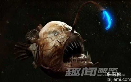 全球十大恶魔鱼：恐怖的南美洲食人鱼594 / 作者:UFO来啦 / 帖子ID:62131