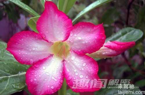 冷血杀手！十大杀人于无形的“蛇蝎美人”168 / 作者:UFO来啦 / 帖子ID:62290