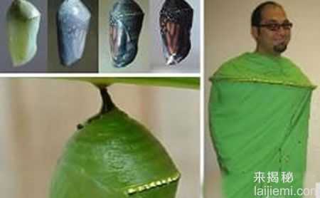 金光闪闪！自然界9大迷人的金色动物129 / 作者:UFO来啦 / 帖子ID:65971