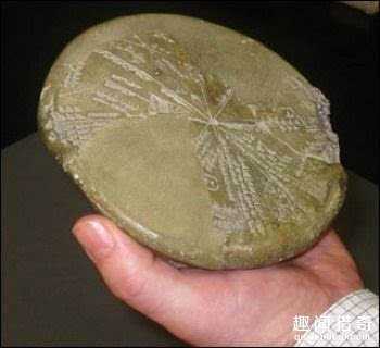 盘点已经破解的世界十大未解谜团103 / 作者:UFO来啦 / 帖子ID:65153