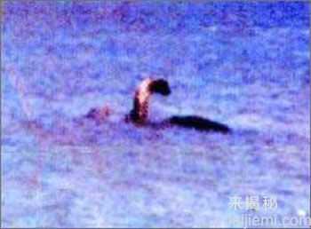 几十年未解之谜 全球怪物大搜寻（组图）912 / 作者:UFO来啦 / 帖子ID:62303