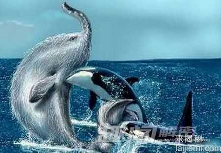 盘点：人类史上传说中的10大神秘怪兽650 / 作者:UFO来啦 / 帖子ID:65214