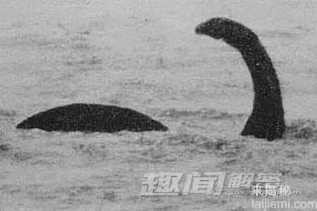 尼斯湖水怪是世界上最后一只活恐龙?683 / 作者:UFO外星人爱好者 / 帖子ID:60123 尼斯湖水怪是世界上最后一只活恐龙?683 / 作者:UFO外星人爱好者 / 帖子ID:60123