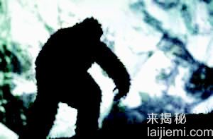 全球十大神秘怪兽：黑色猴子VS死亡之虫702 / 作者:UFO来啦 / 帖子ID:62164