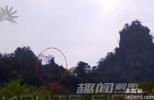 神秘独特的生物 揭俄罗斯女野人之谜347 / 作者:UFO来啦 / 帖子ID:65304