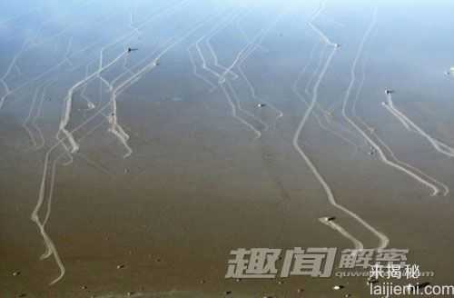 揭开死亡谷石块移动之谜：浮冰与轻风998 / 作者:UFO来啦 / 帖子ID:63931